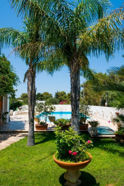 Villa Cancelliere San Vito Lo Capo Kültér fotó