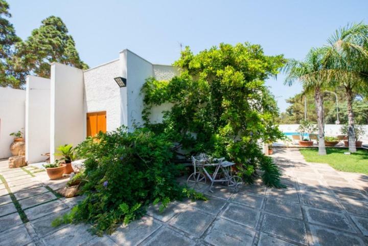 Villa Cancelliere San Vito Lo Capo Kültér fotó